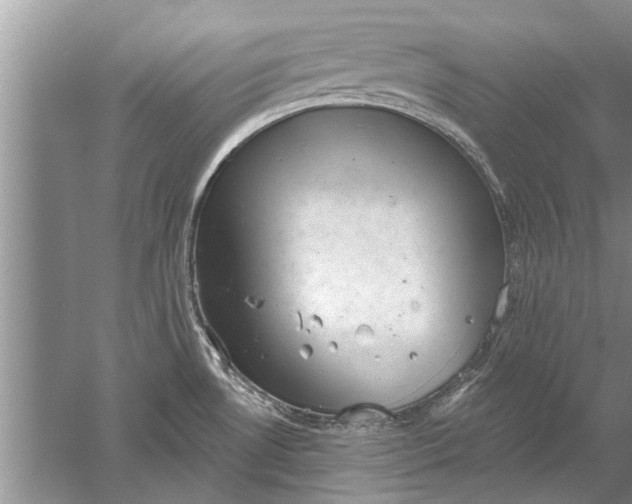 X0000052571530200507152239