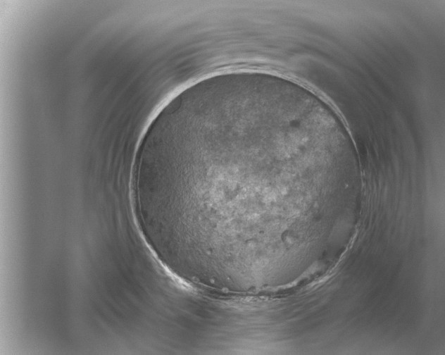 X0000052571533200507152239