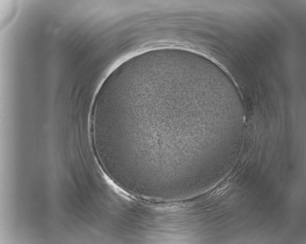 X0000052571535200507152239