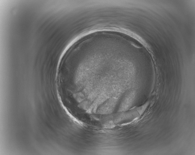 X0000052571536200507152239