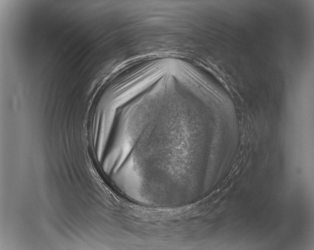 X0000052570002200507221514