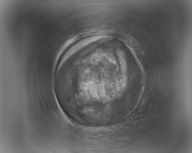 X0000052570003200507221514