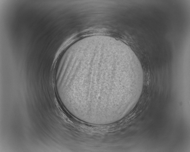 X0000052570004200507221514