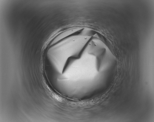 X0000052570005200507221514