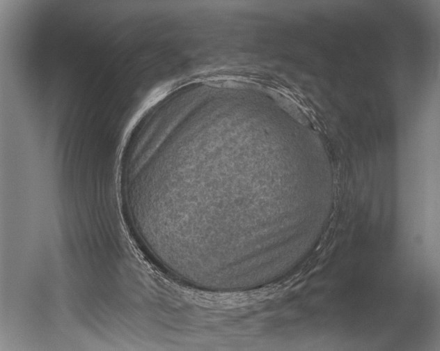 X0000052570006200507221514