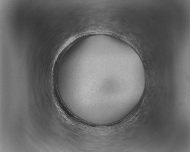 X0000052570008200507221514