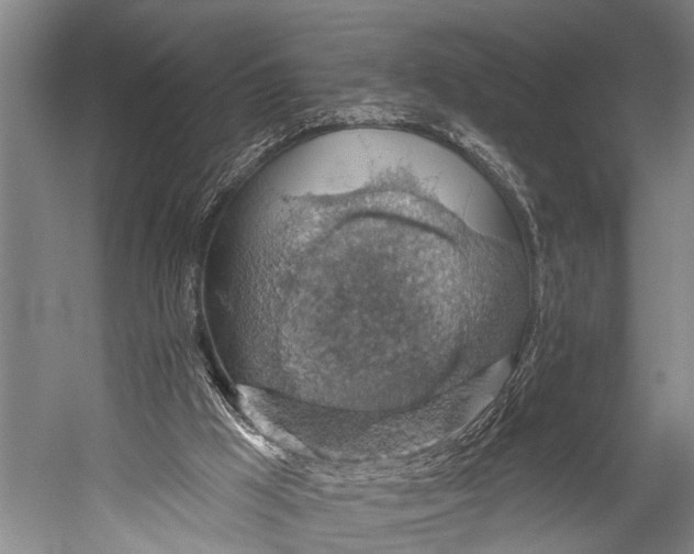 X0000052570009200507221514