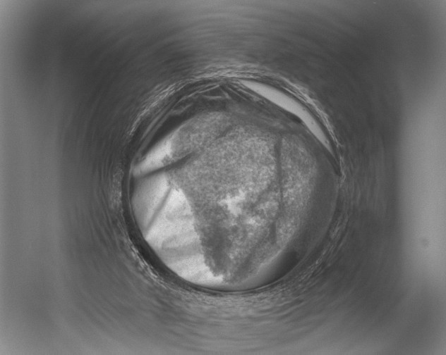 X0000052570010200507221514