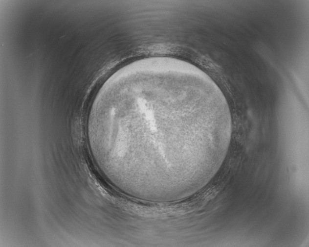 X0000052570012200507221514