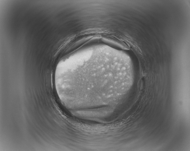 X0000052570014200507221514