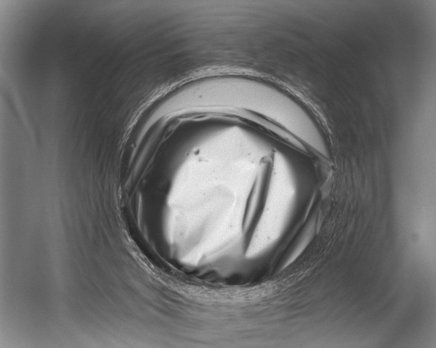 X0000052570015200507221514