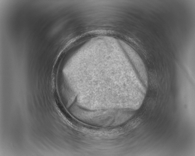 X0000052570016200507221514