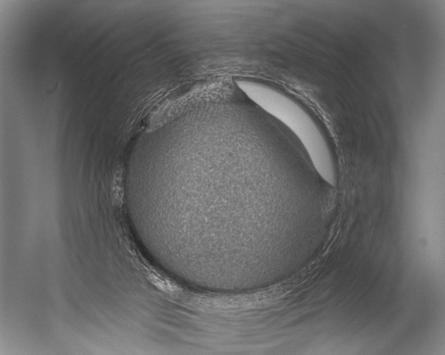 X0000052570017200507221514