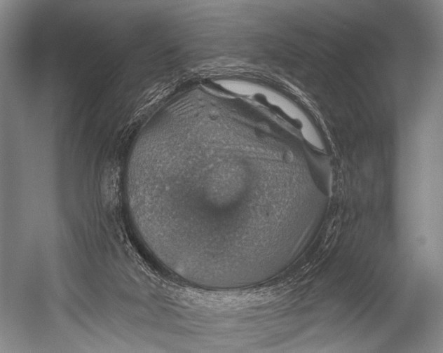 X0000052570018200507221514