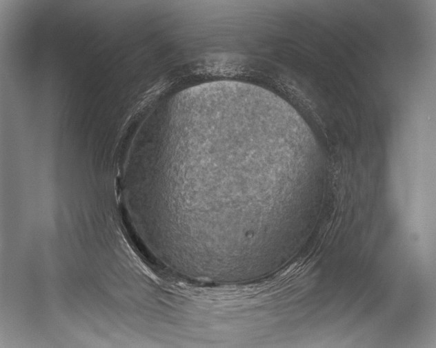 X0000052570020200507221514