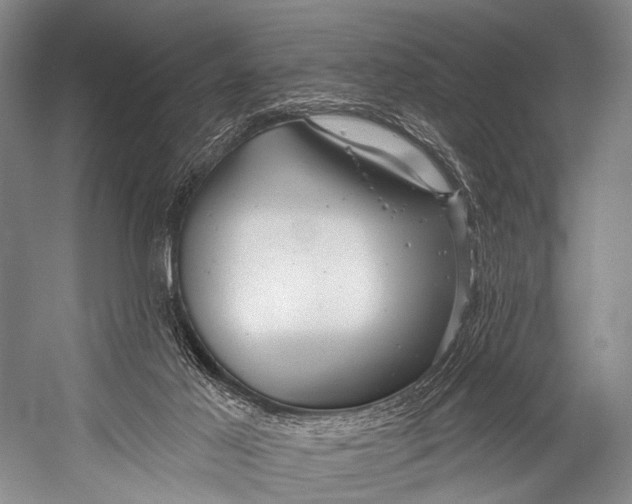 X0000052570021200507221514