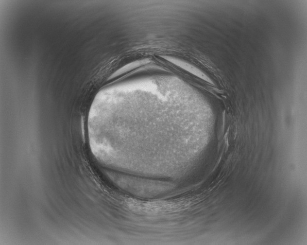 X0000052570022200507221514