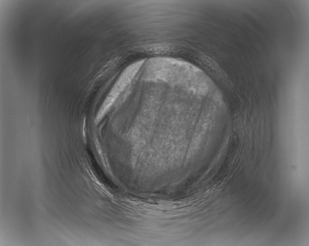 X0000052570024200507221514