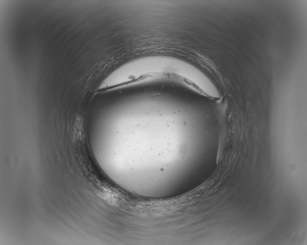 X0000052570025200507221514