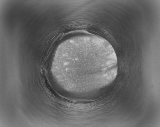 X0000052570026200507221514