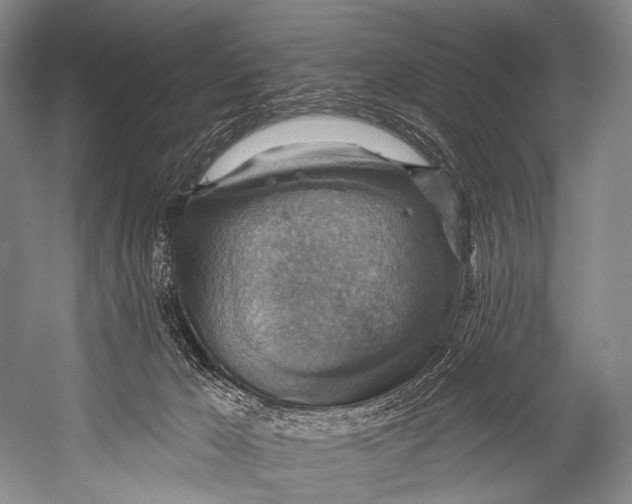 X0000052570029200507221514