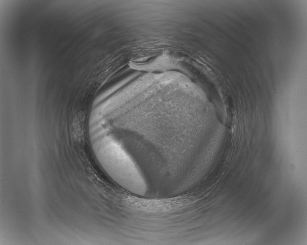 X0000052570030200507221514