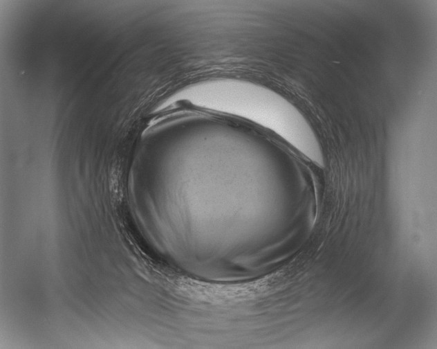 X0000052570031200507221514