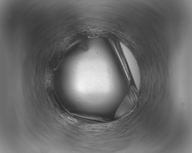 X0000052570033200507221514