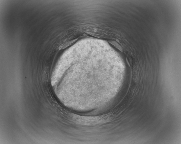 X0000052570034200507221514