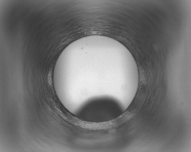 X0000052570036200507221514