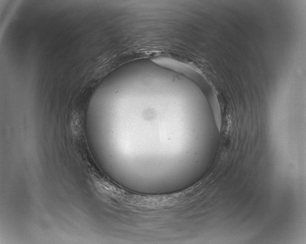 X0000052570037200507221514