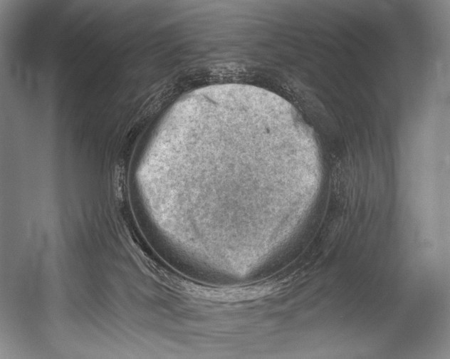 X0000052570038200507221514