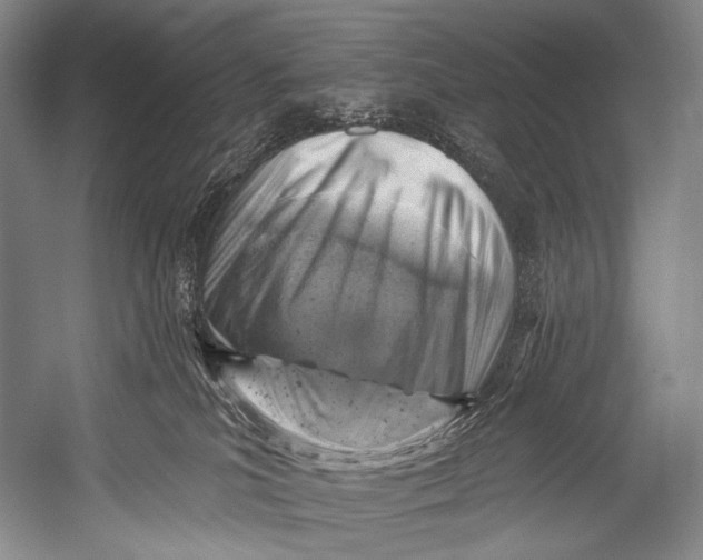 X0000052570039200507221513