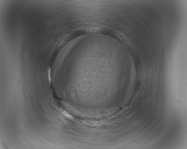 X0000052570041200507221513