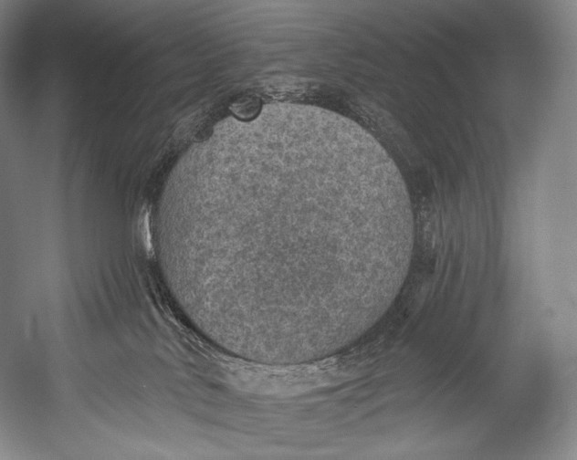 X0000052570042200507221513