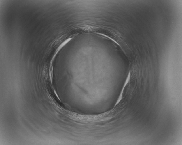 X0000052570043200507221513