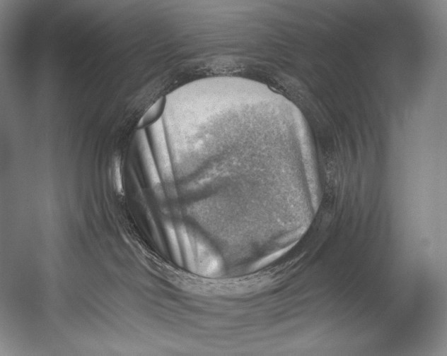 X0000052570046200507221513