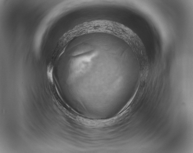 X0000052570047200507221513