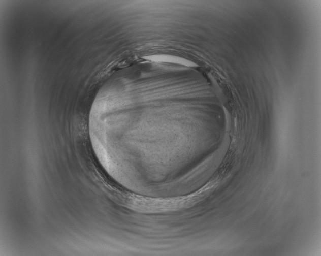 X0000052570048200507221513