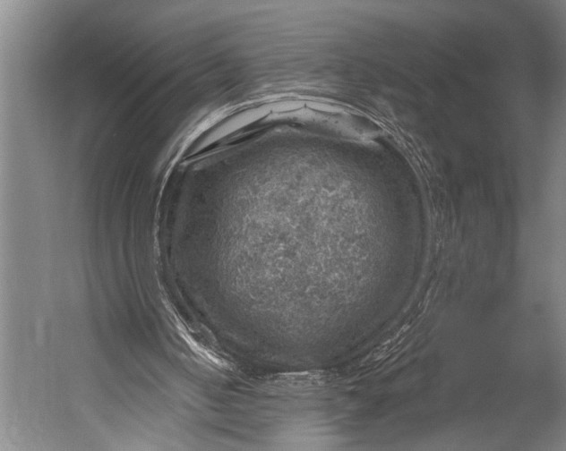 X0000052570050200507221513