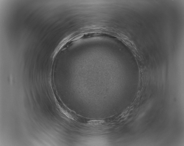 X0000052570051200507221513