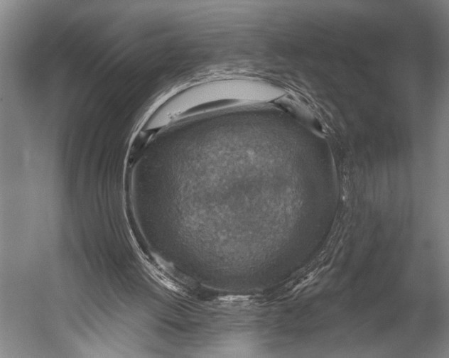 X0000052570052200507221513