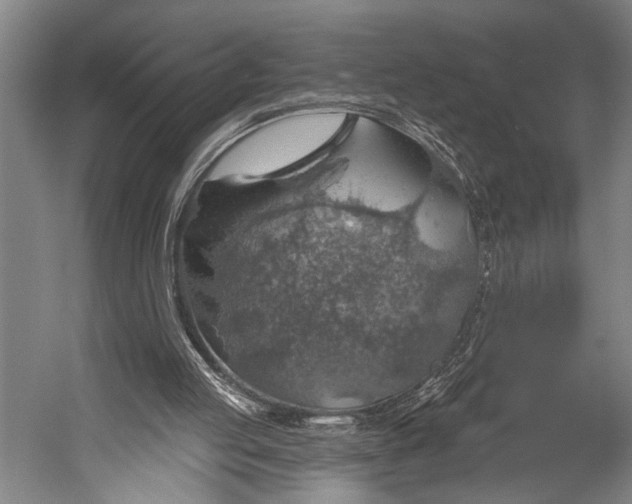 X0000052570053200507221513