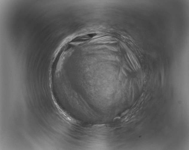 X0000052570054200507221513