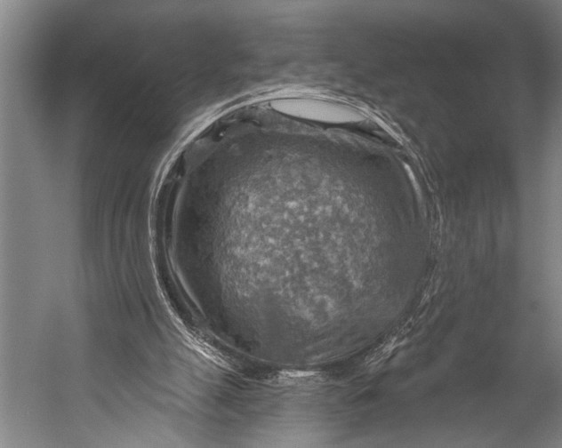 X0000052570055200507221513