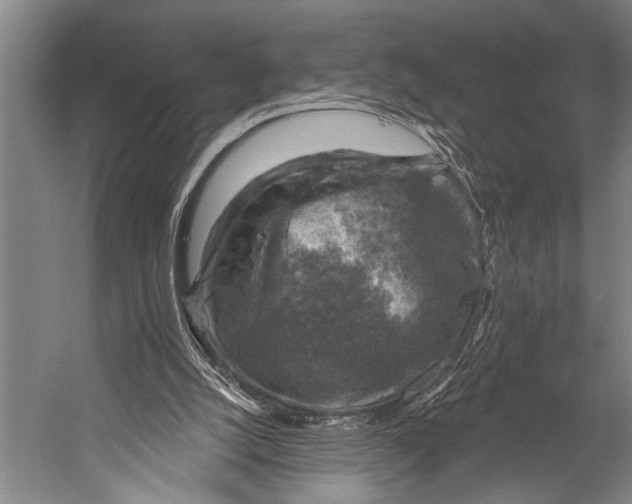 X0000052570056200507221513