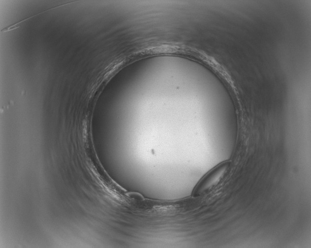 X0000052570057200507221513