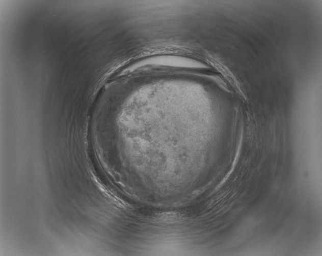 X0000052570058200507221513