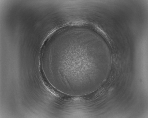 X0000052570059200507221513