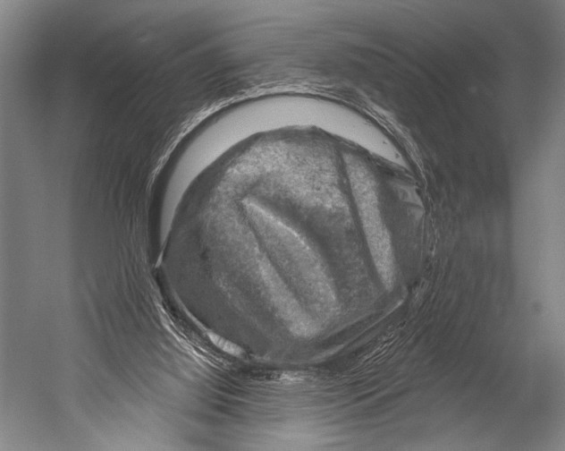 X0000052570060200507221513